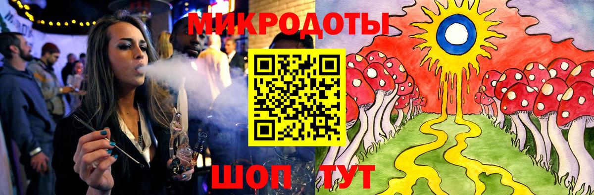 где продают   Клин  Галлюциногенные грибы Psilocybine cubensis 