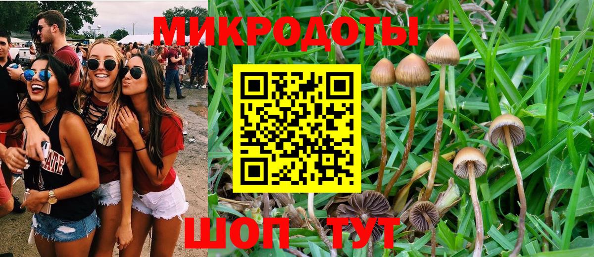 Псилоцибиновые грибы ЛСД Клин